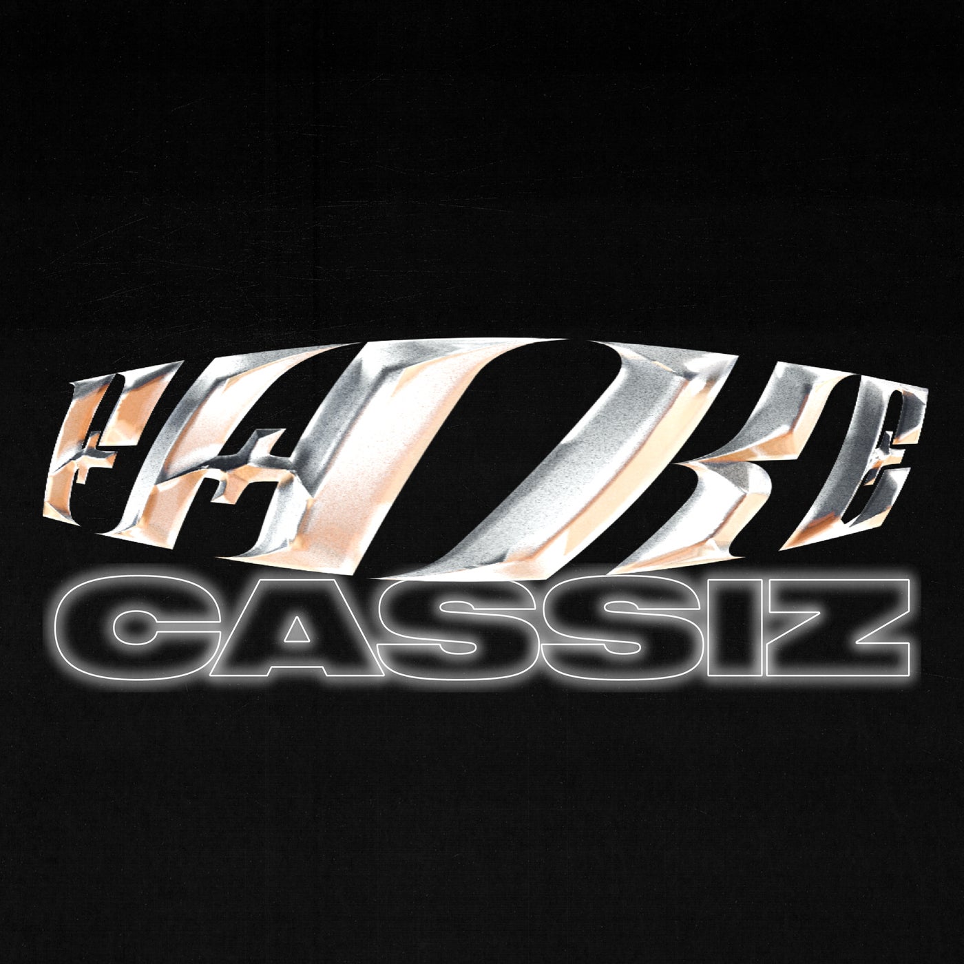 Cover art for FAKE
