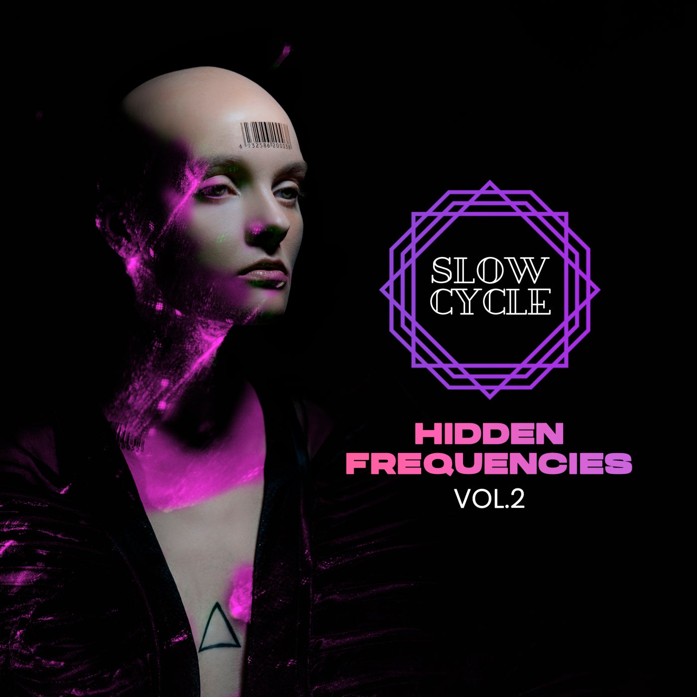 Hidden Frequencies, Vol. 2