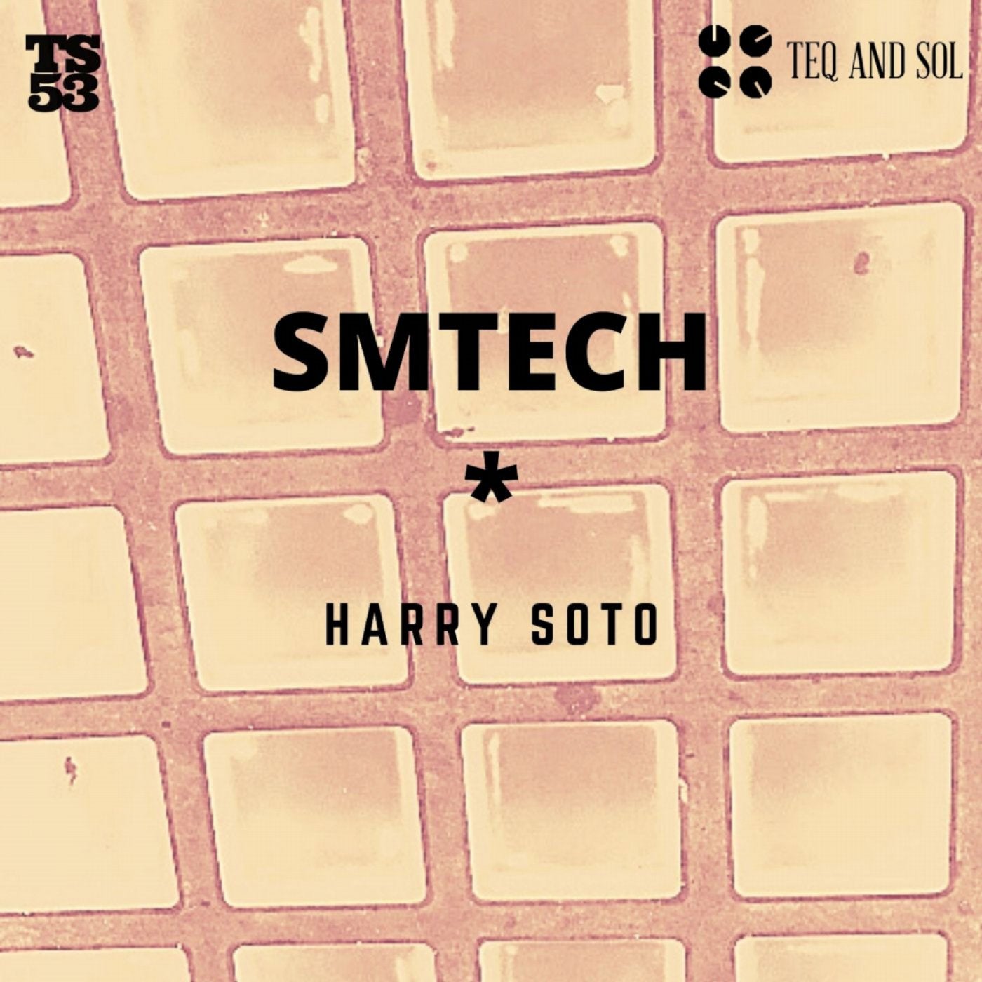 SMTECH