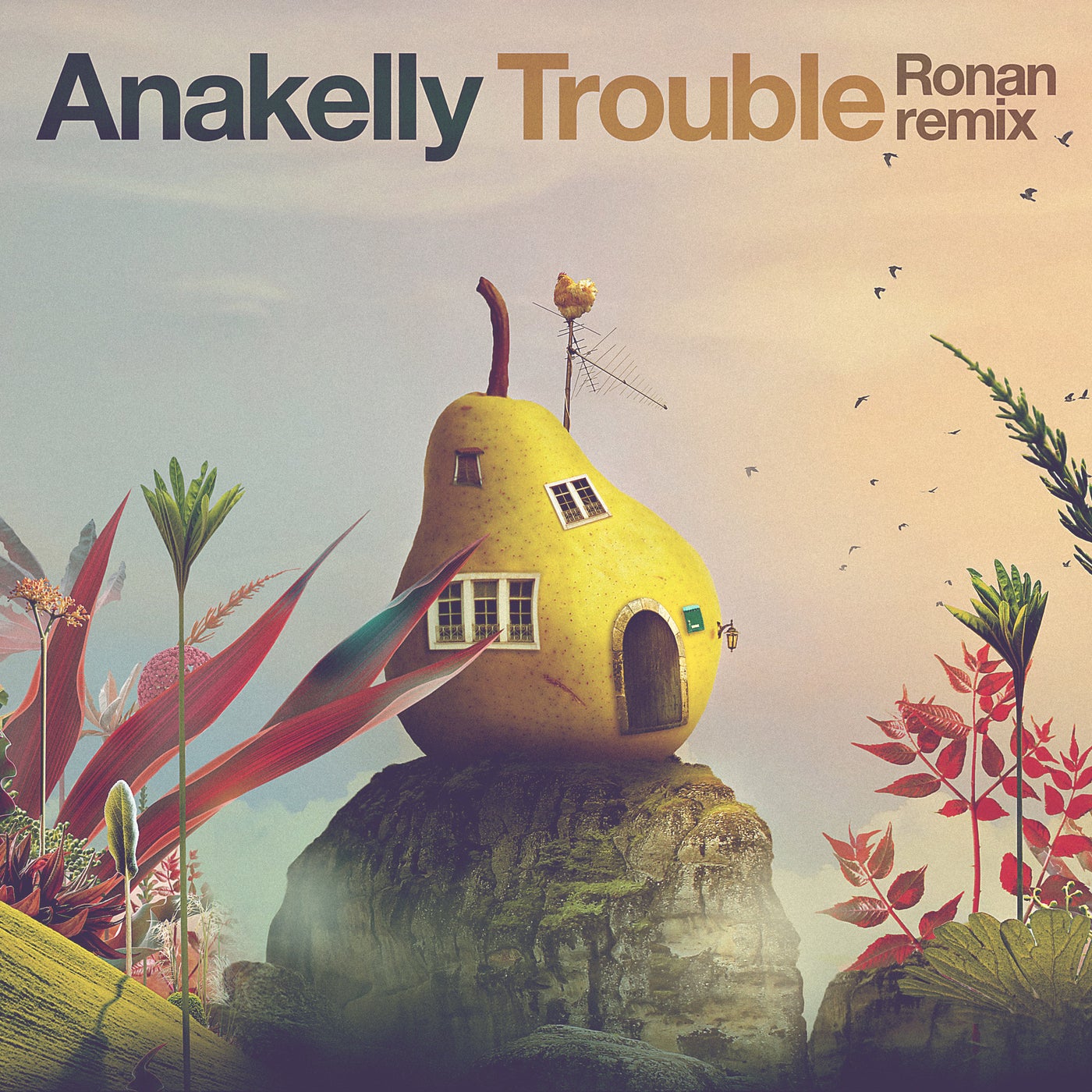Trouble (Ronan Remix)