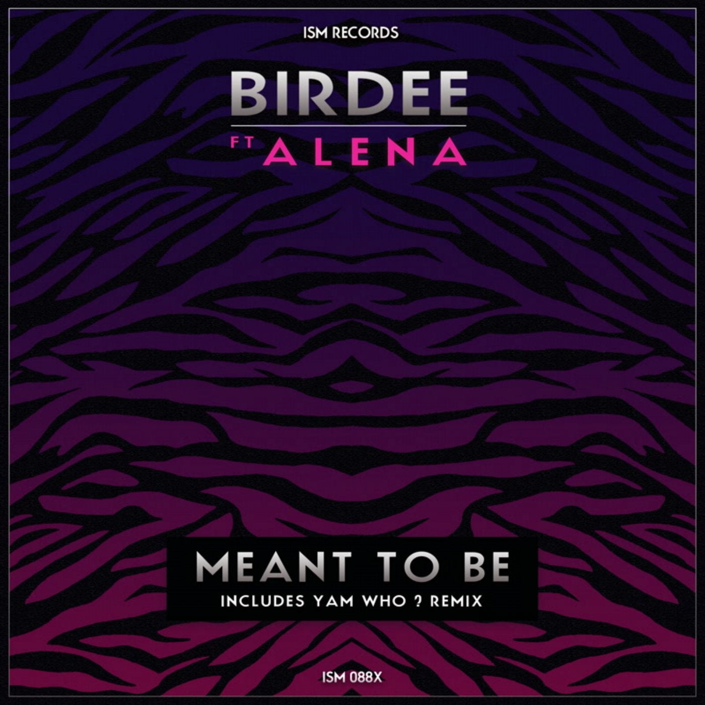 Meant to Be (feat. Alena)