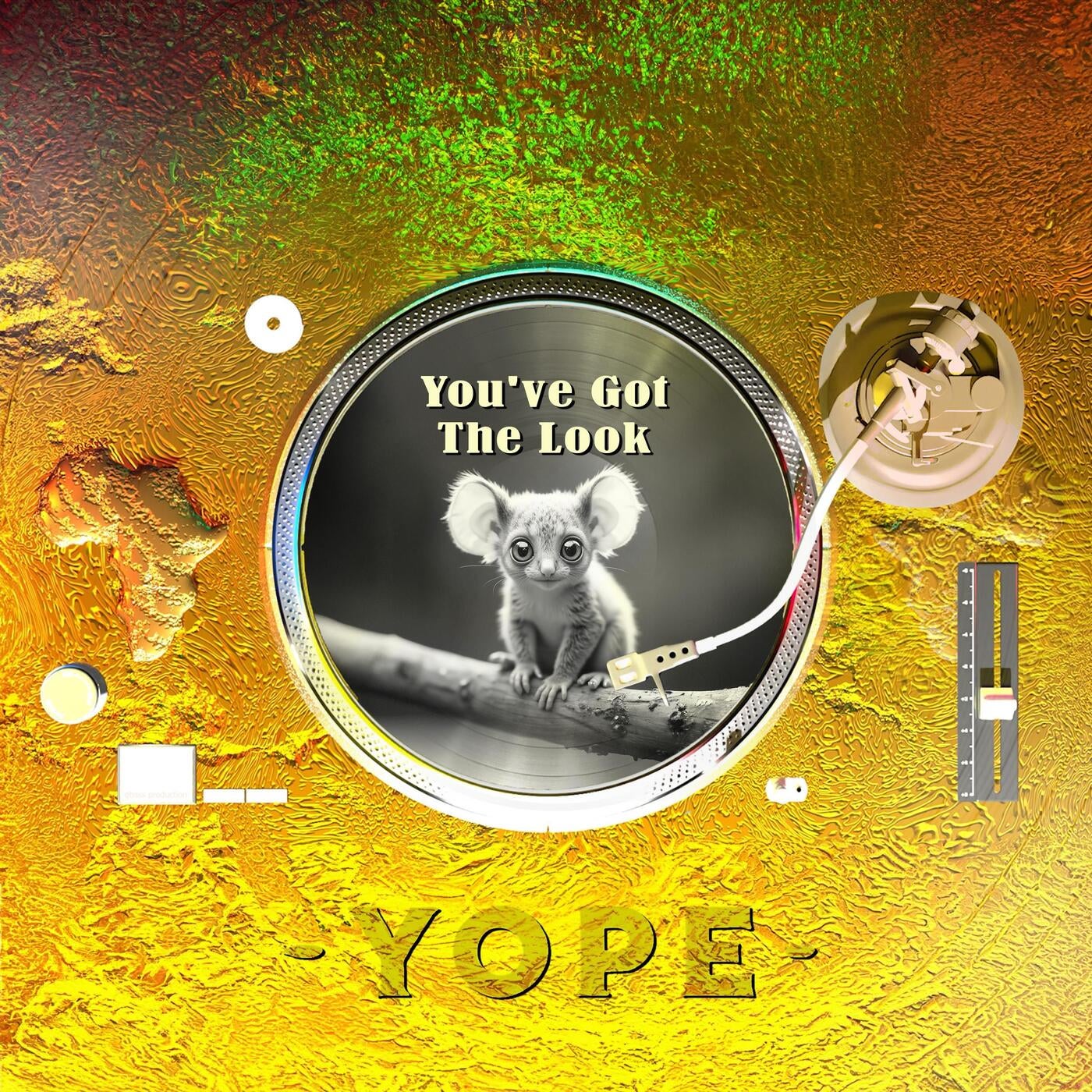 You've Got The Look (Radio Edit)