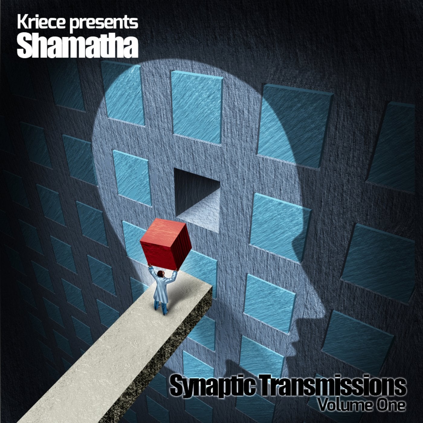 Synaptic Transmissions Volume One