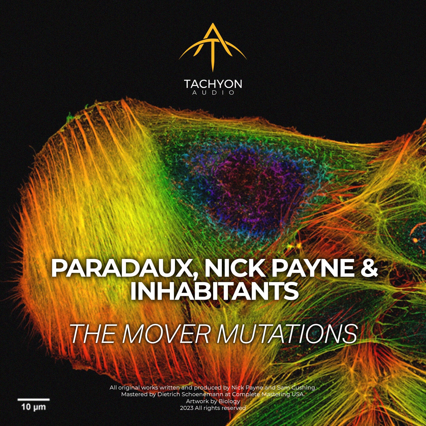 The Mover Mutations