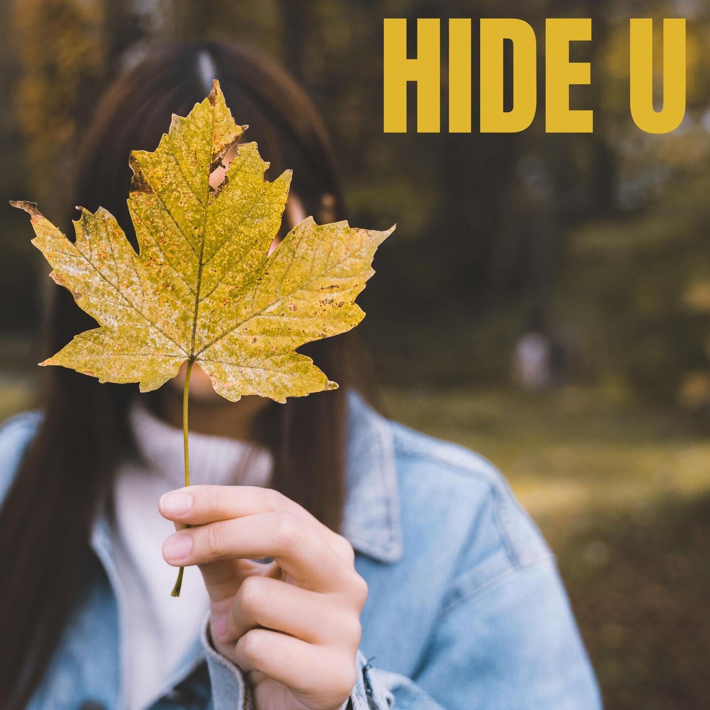 Hide U