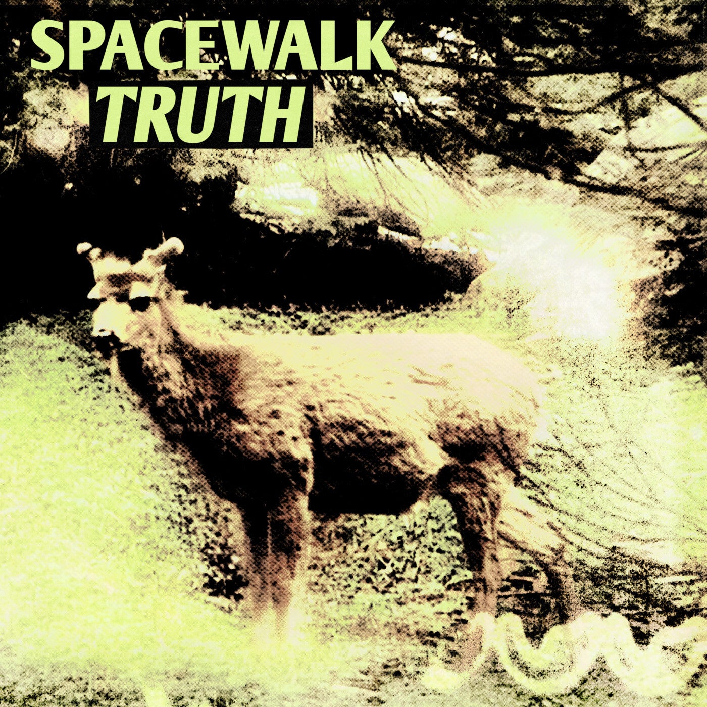 Truth (Extended Mix)
