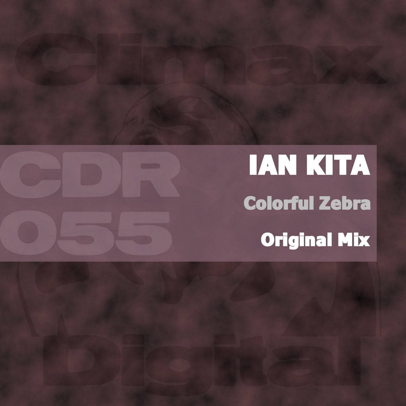 Colorful Zebra