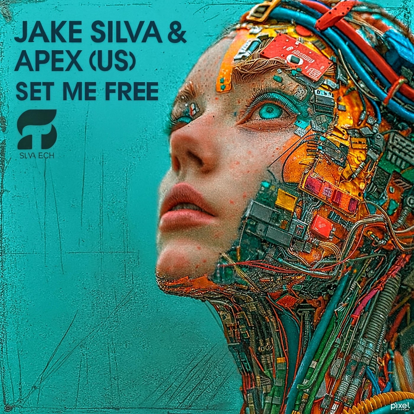 Set Me Free 