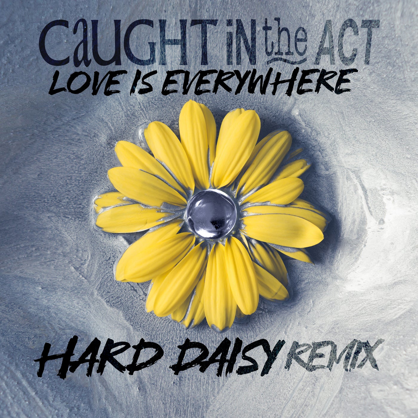 Love Is Everywhere (Hard Daisy Remix)