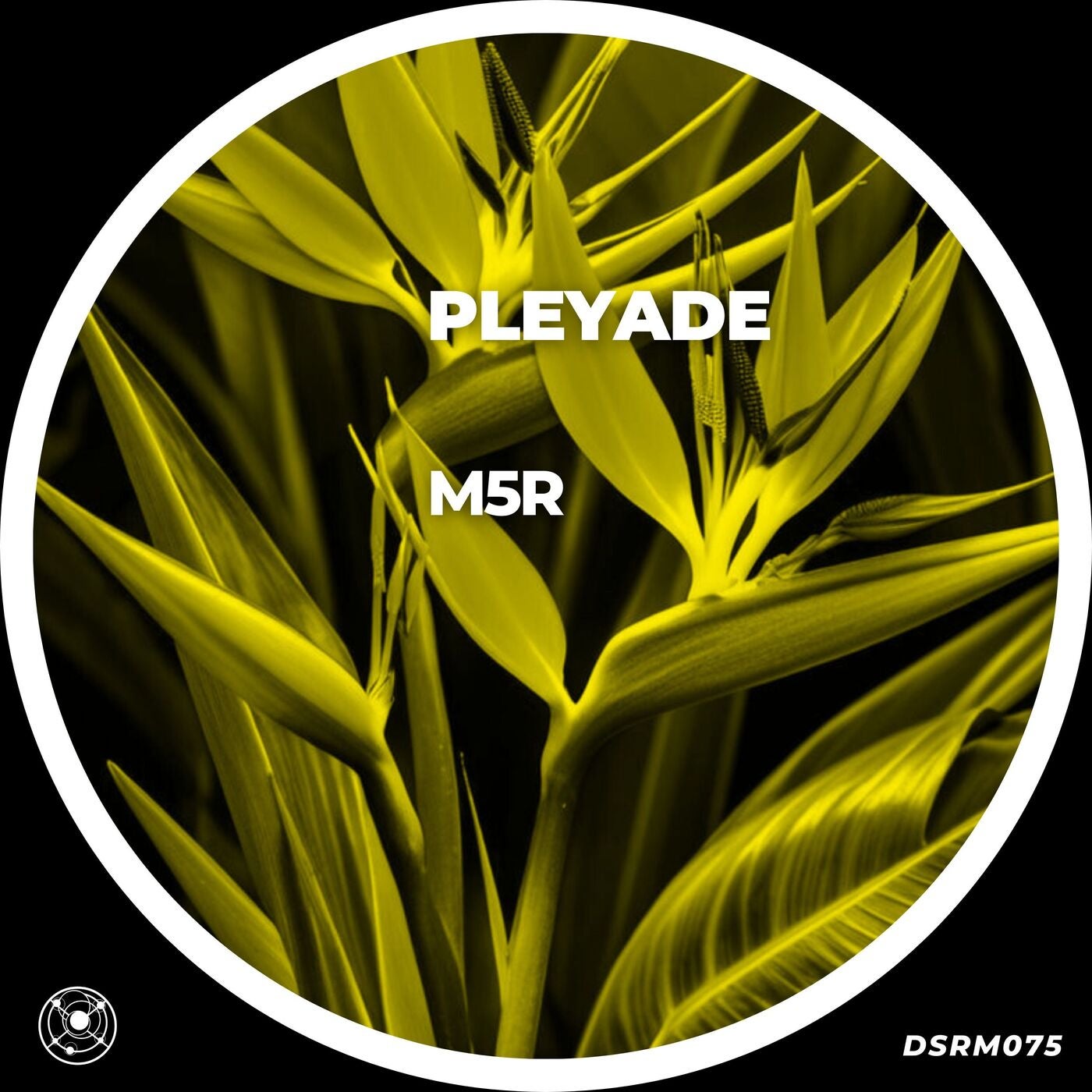 Pléyade