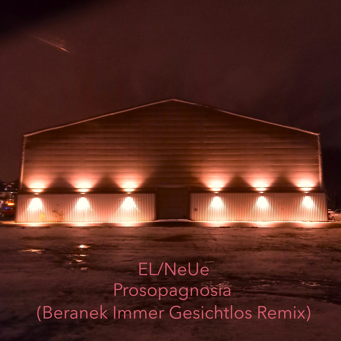 Prosopagnosia (Beranek Immer Gesichtlos Remix)