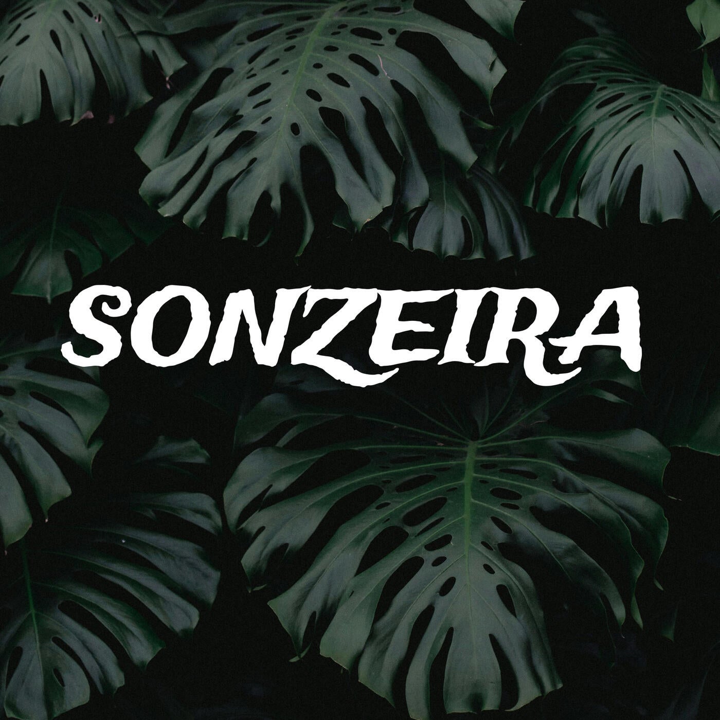 Sonzeira (Radio Edit)