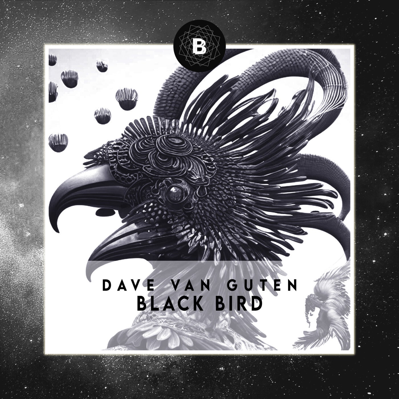 Black Bird