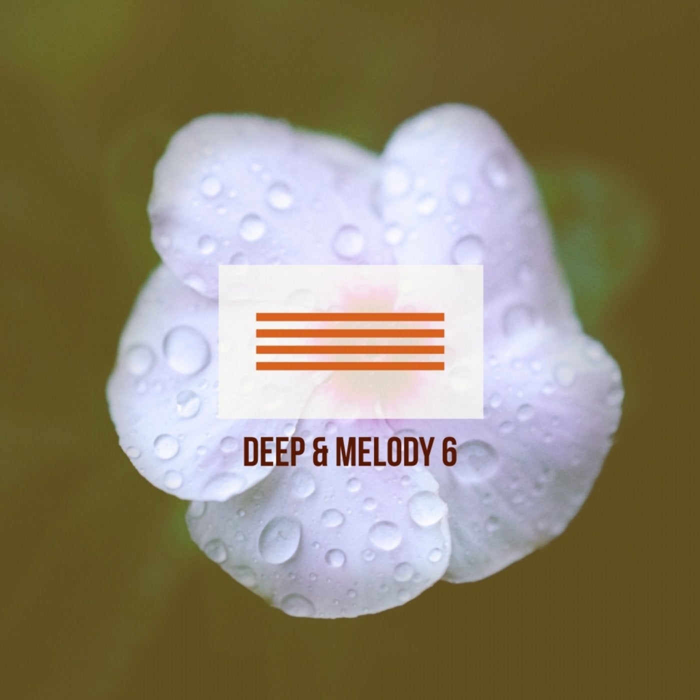 Deep & Melody 6