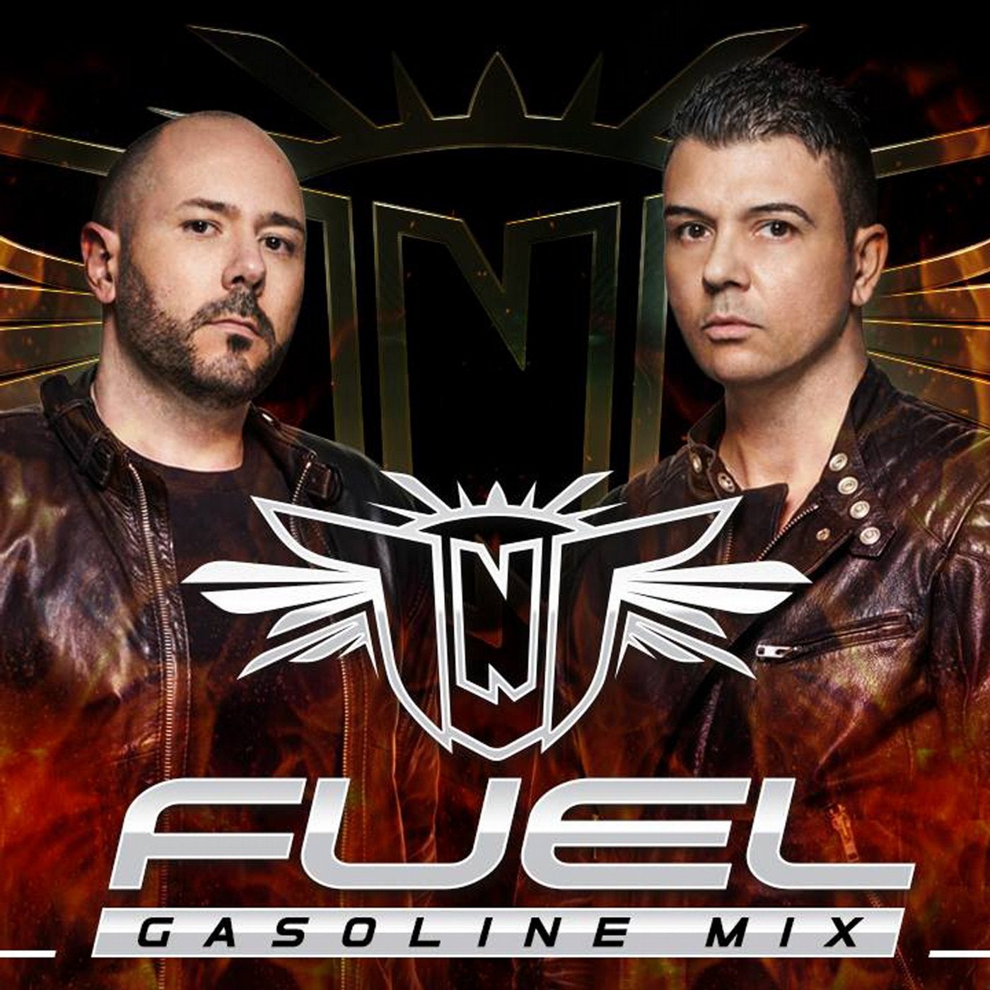 Fuel (Gasoline Mix)