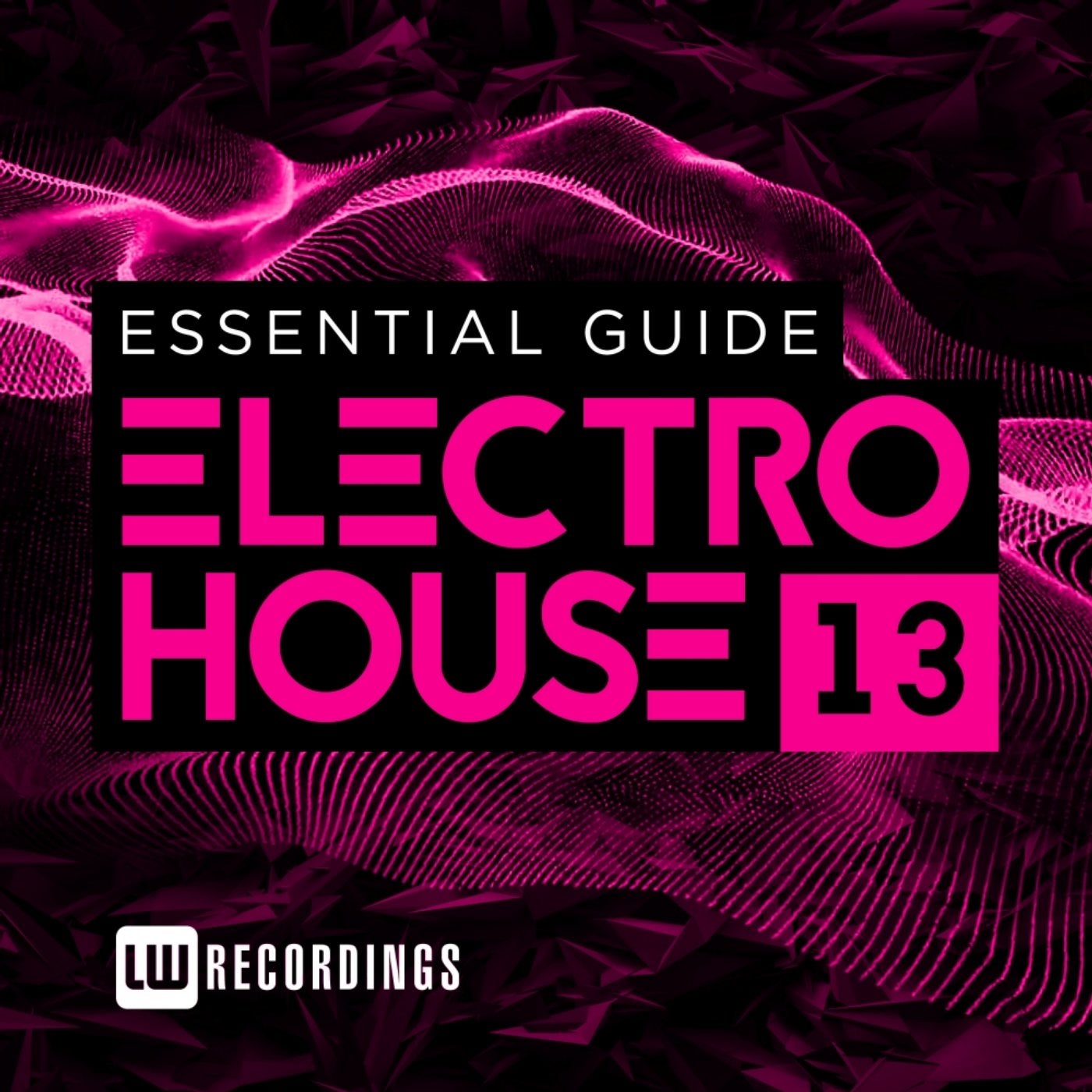 Essential Guide: Electro House, Vol. 13