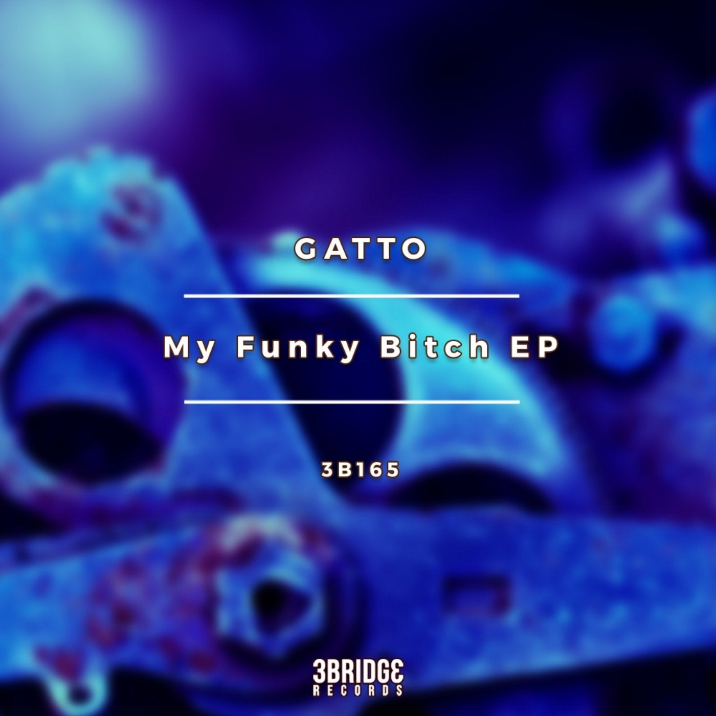 My Funky Bitch EP