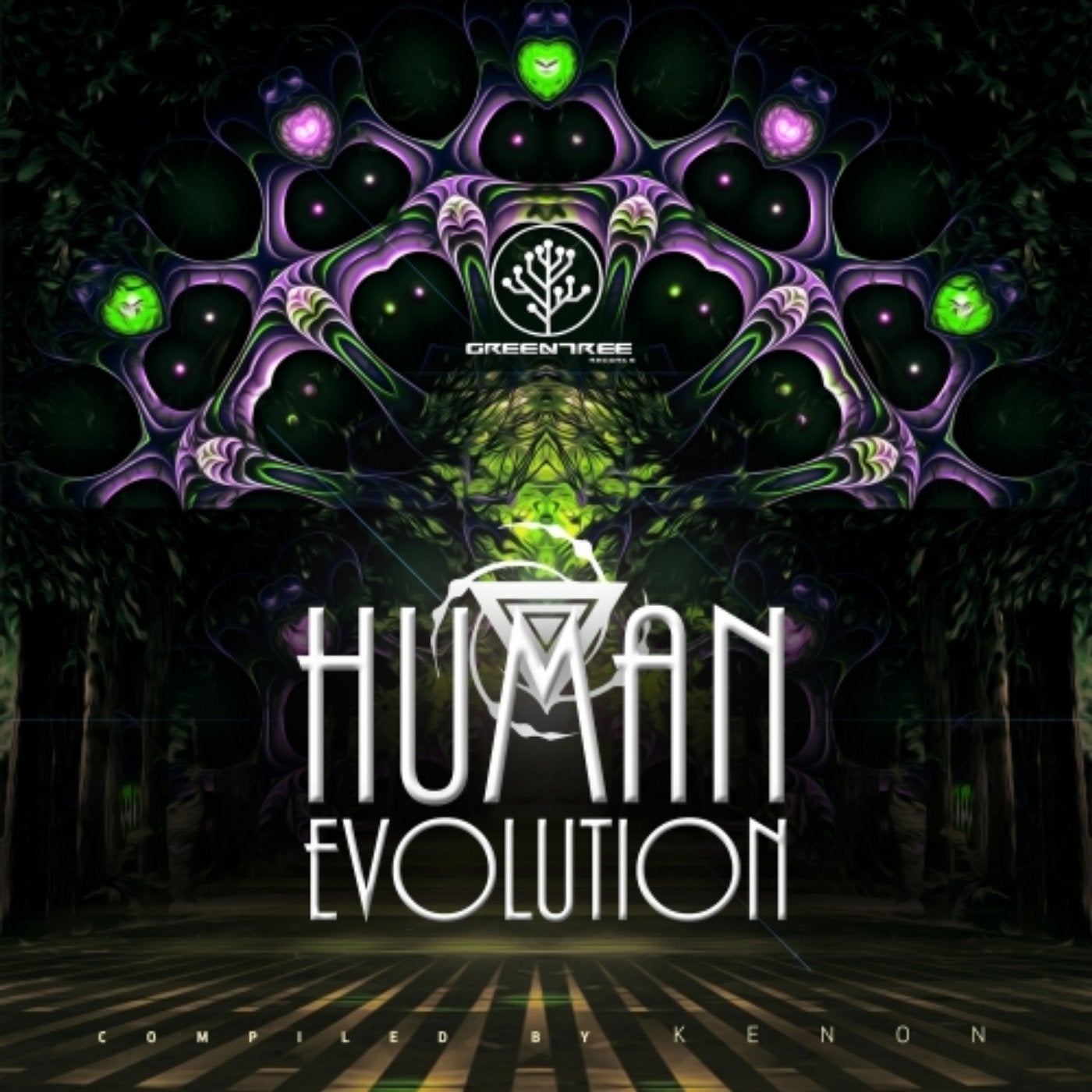 Human Evolution (Compiled by Kenon)