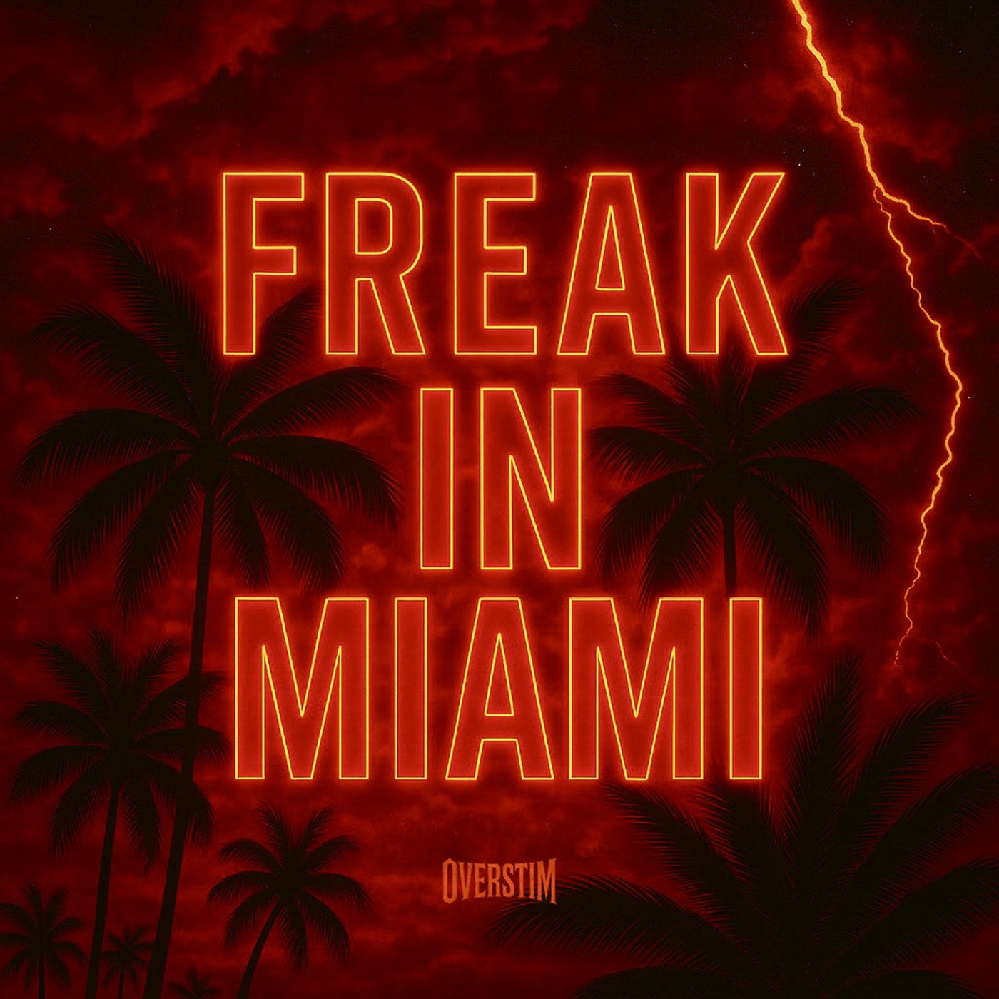 Freak In Miami