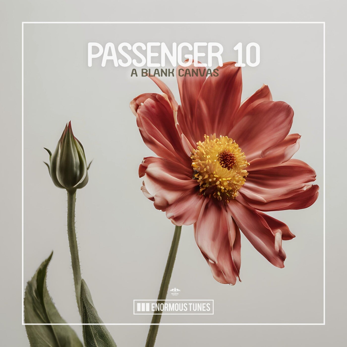 Passenger 10 A Blank Canvas Enormous Tunes Music Downloads