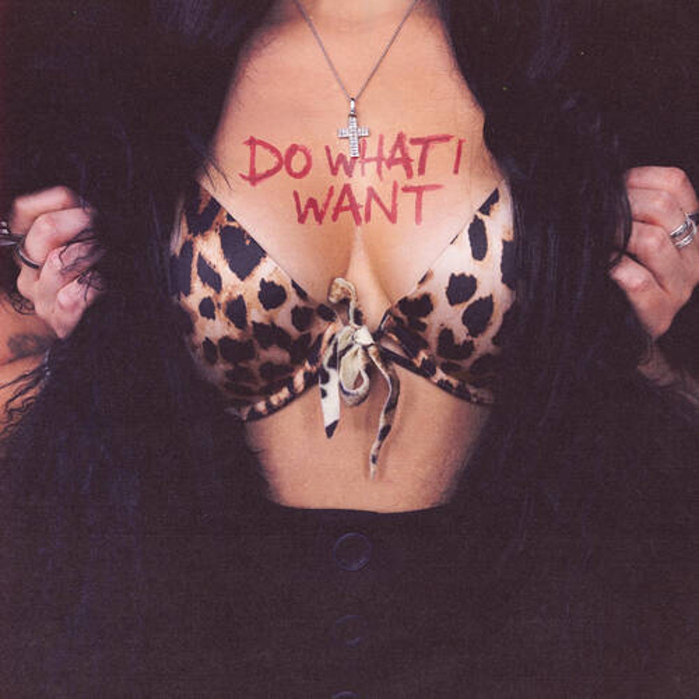 Do What I Want (Extended Mix)