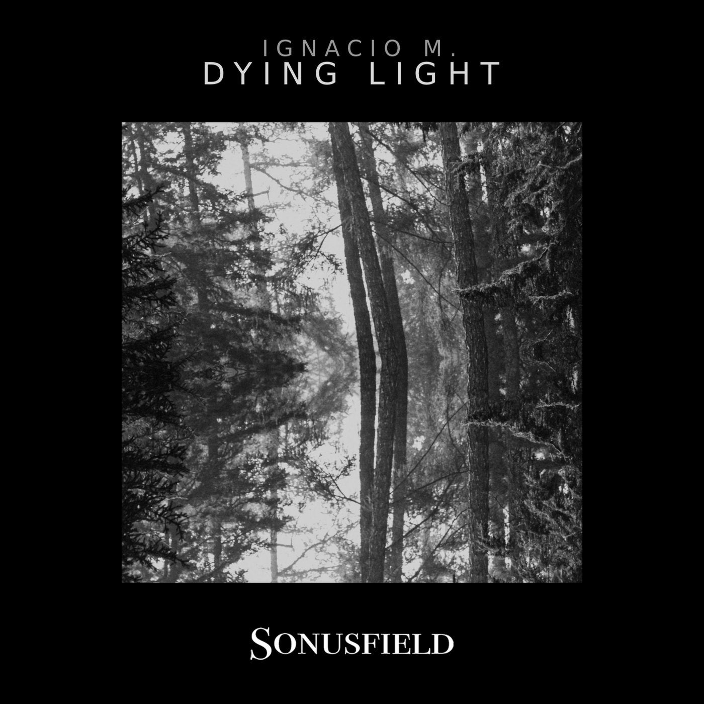 Dying Light