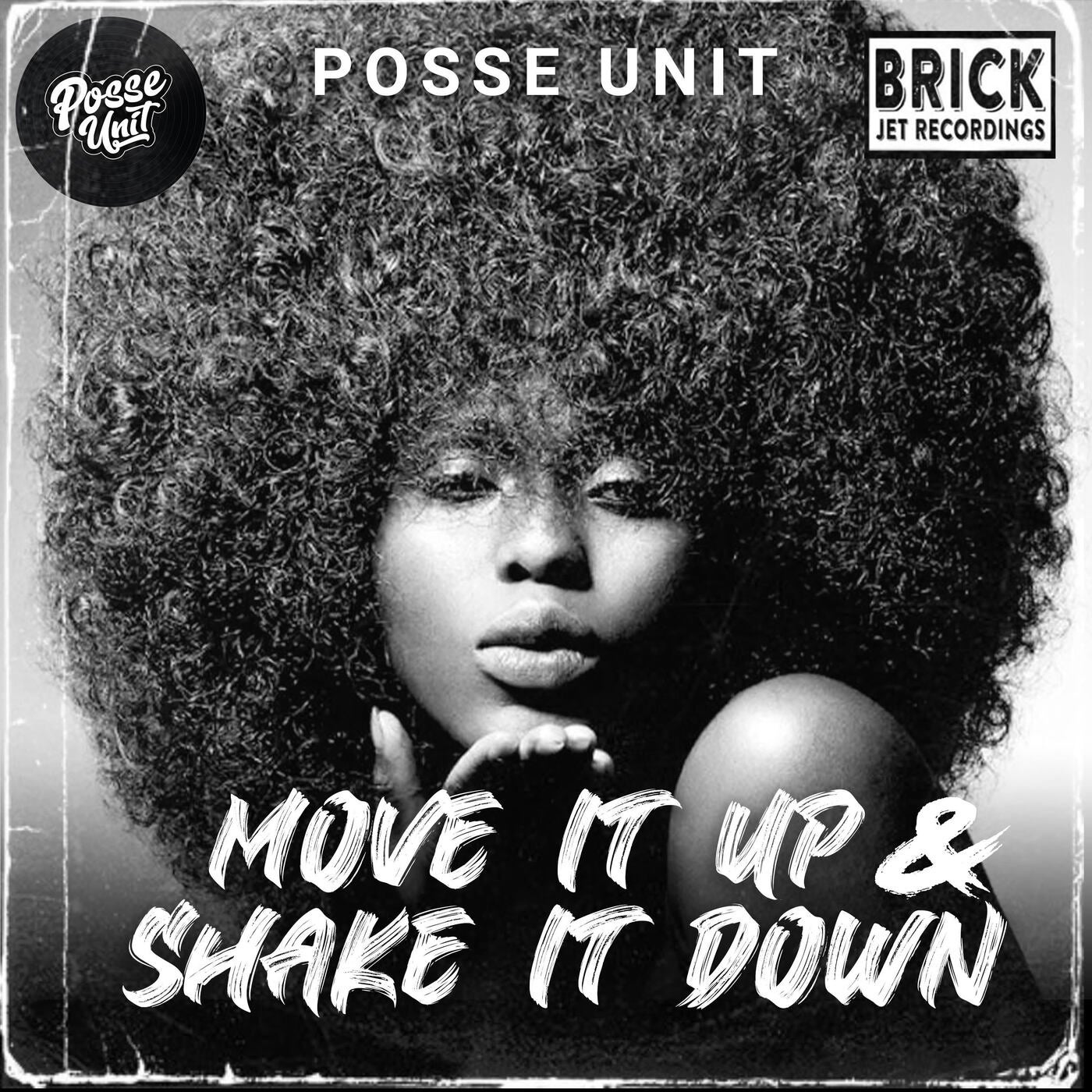 Move It Up & Shake It Down