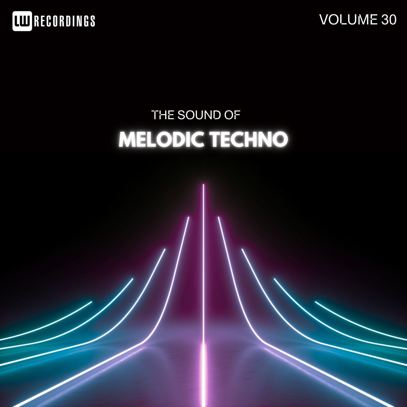 The Sound Of Melodic Techno, Vol. 30