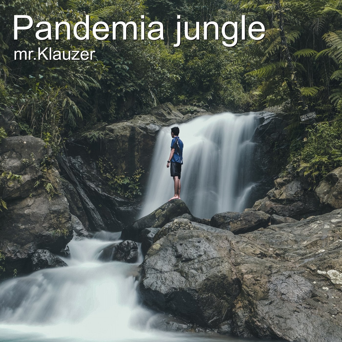 Pandemia Jungle