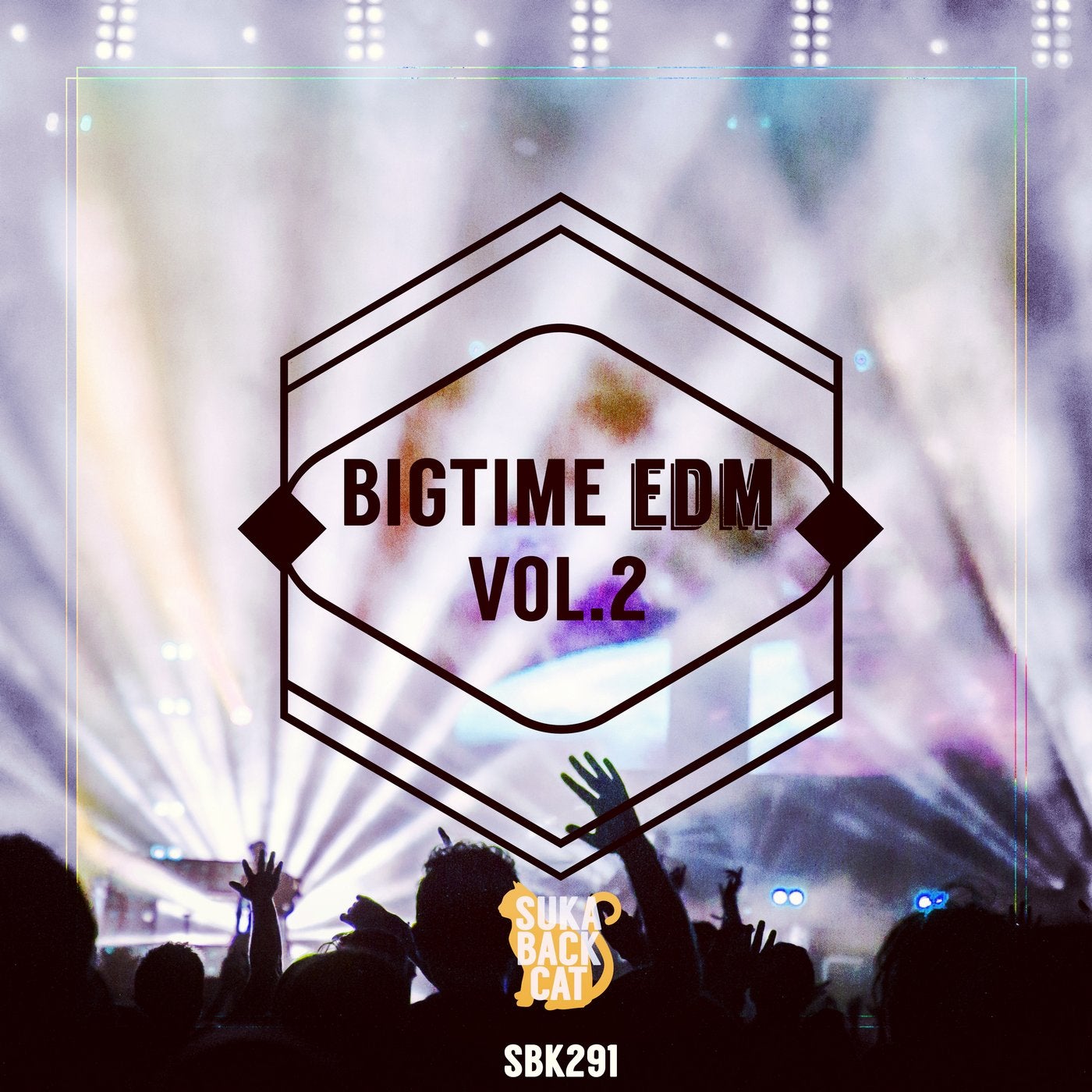 Bigtime EDM, Vol. 2