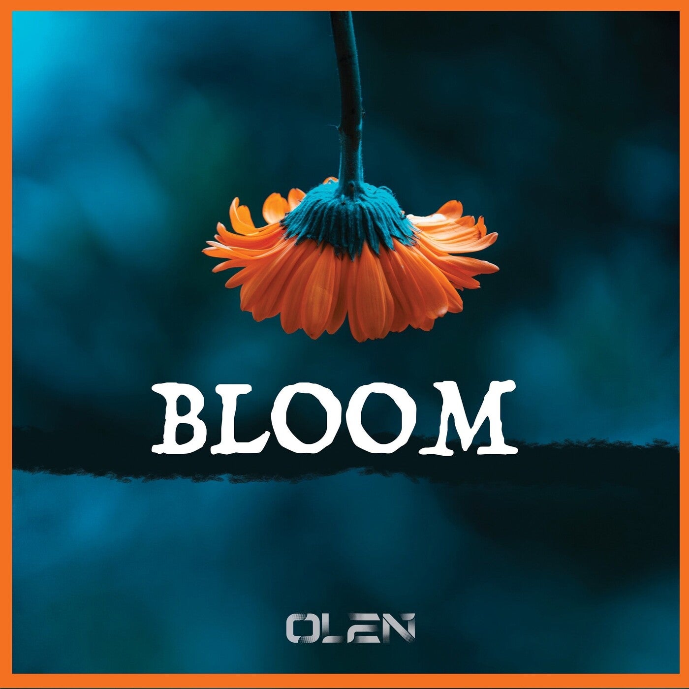 Bloom