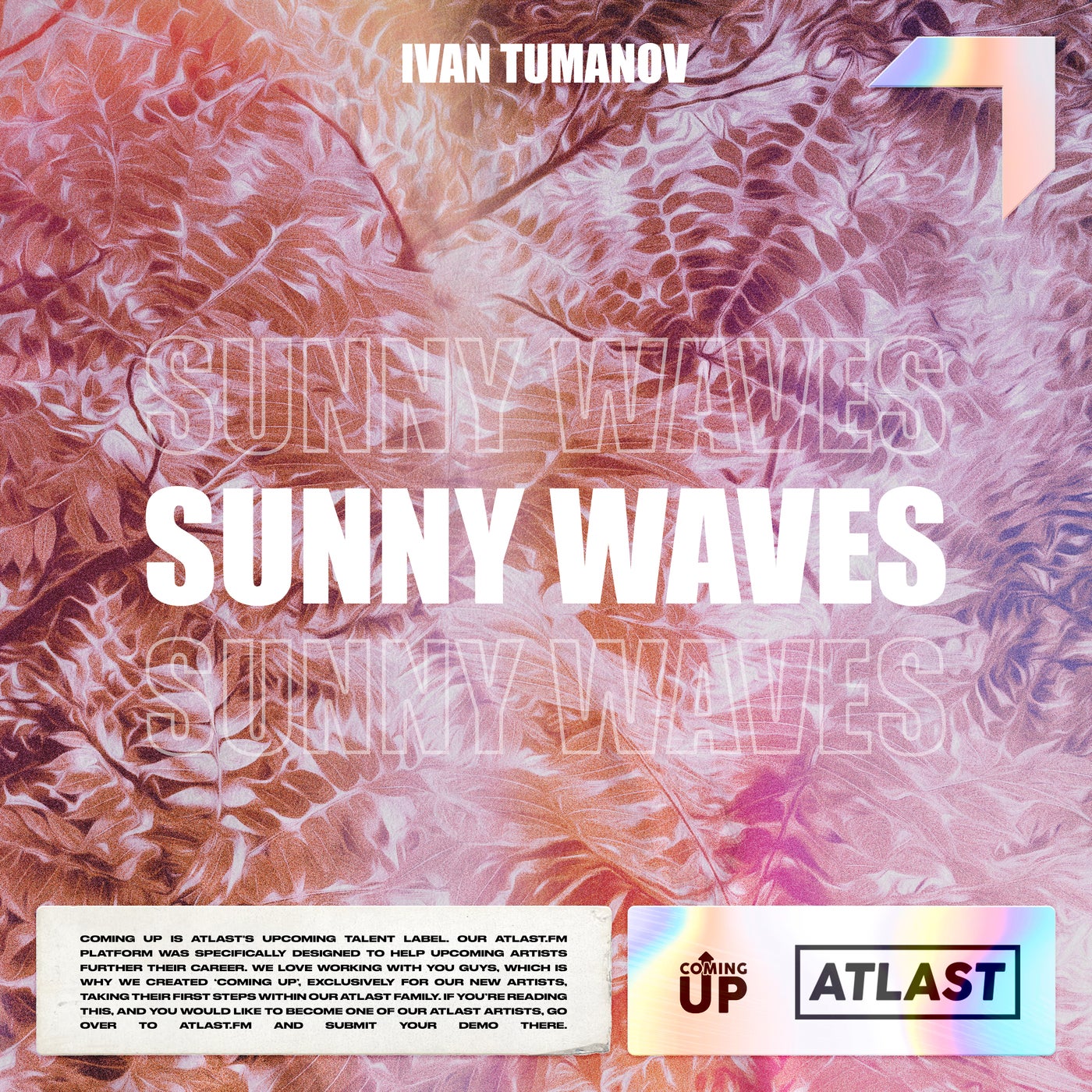 Sunny Waves