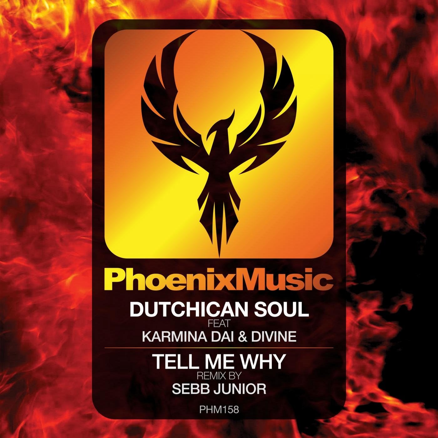 Tell Me Why (Sebb Junior Remix)