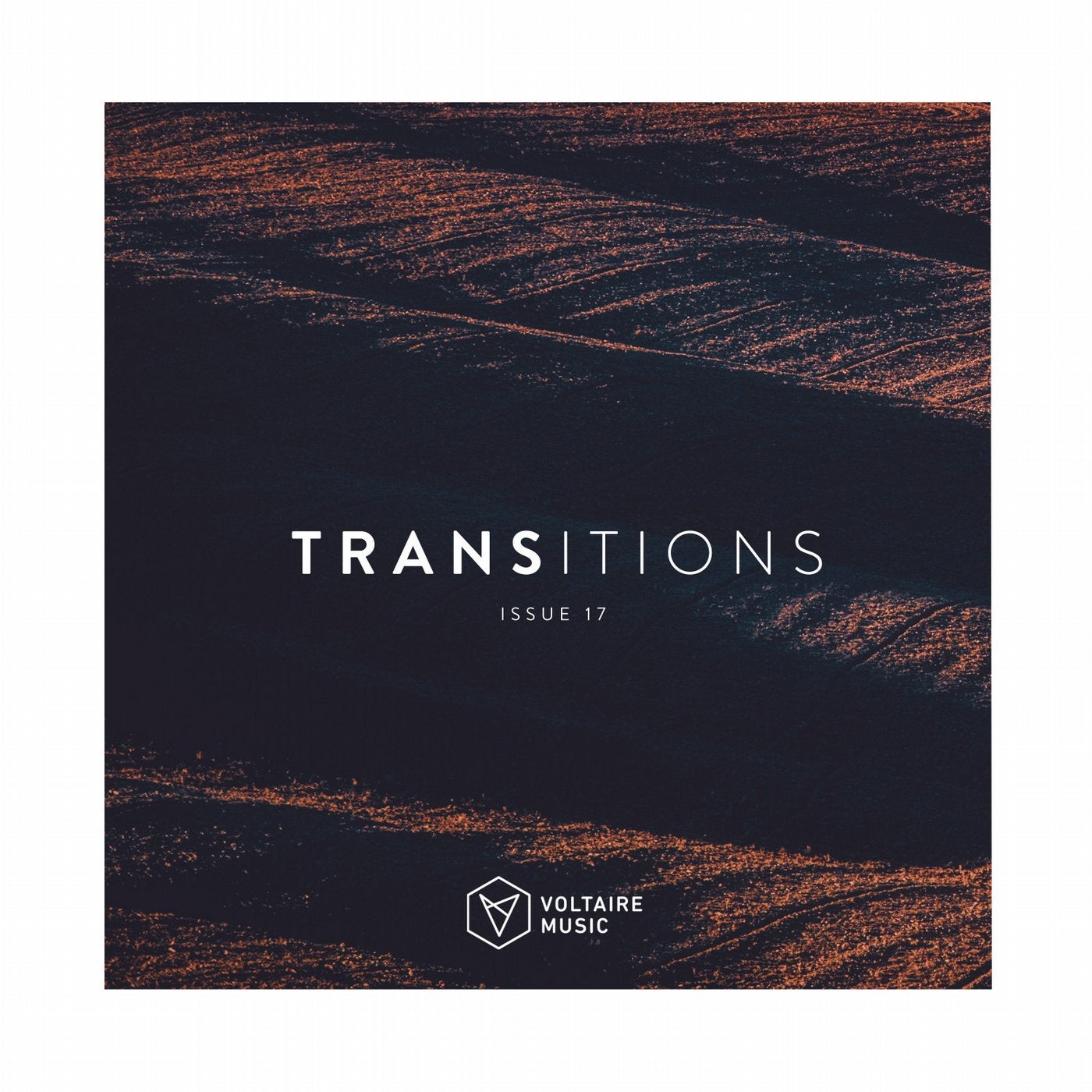 Transition Issue 17