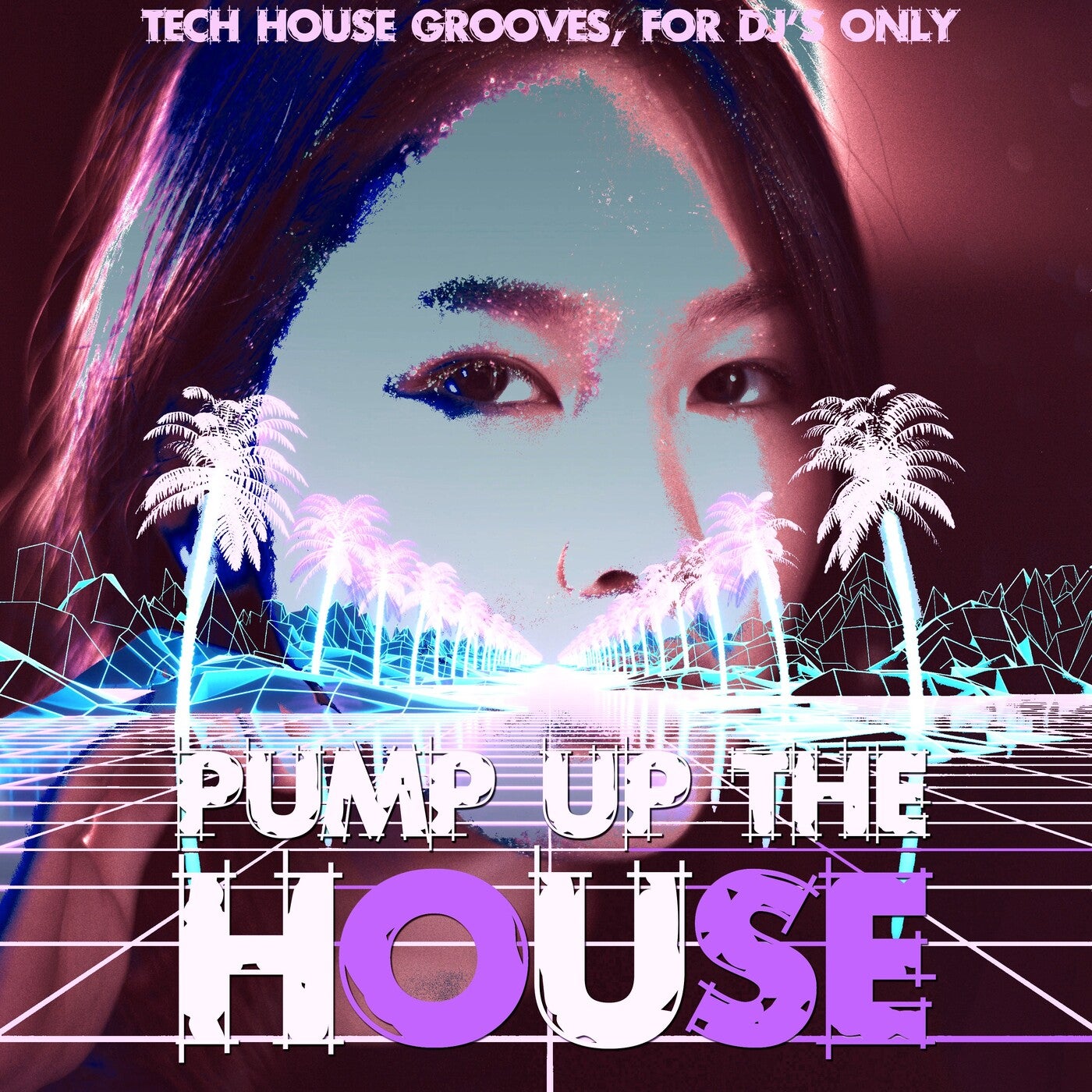 Pump up the House (Tech House Grooves, for DJ's Only)