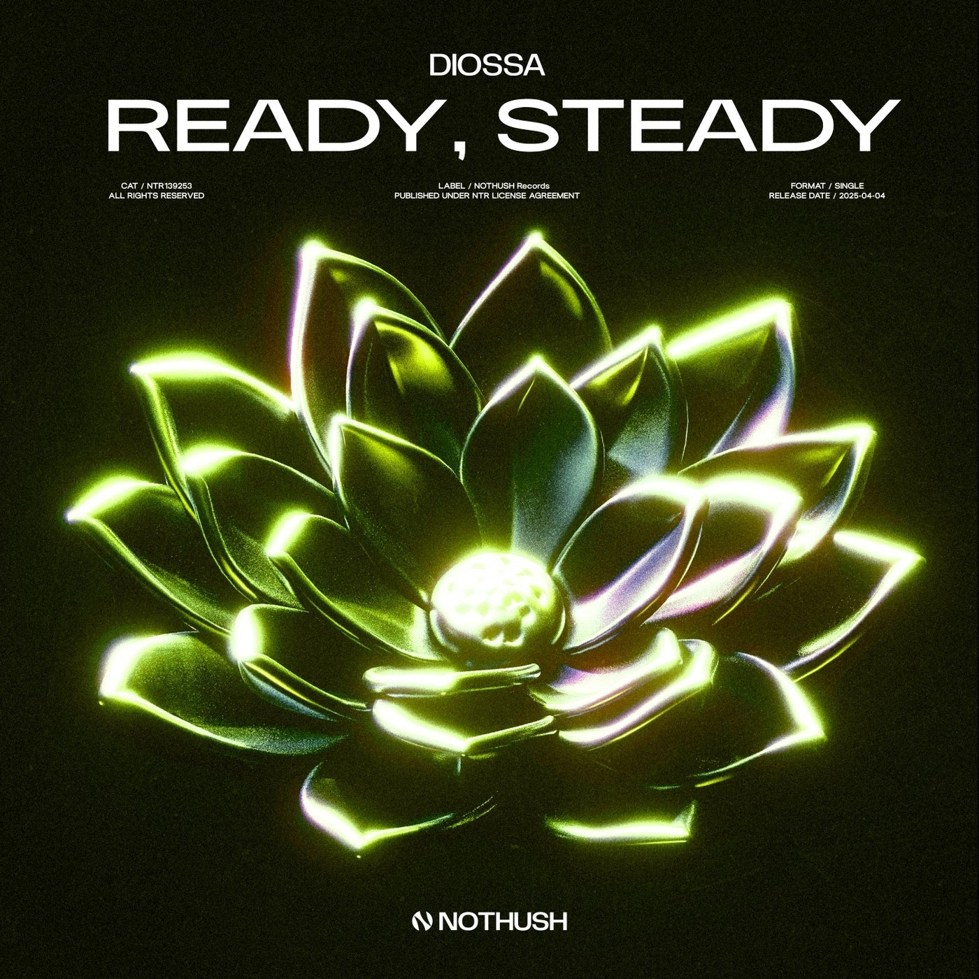 Ready, Steady