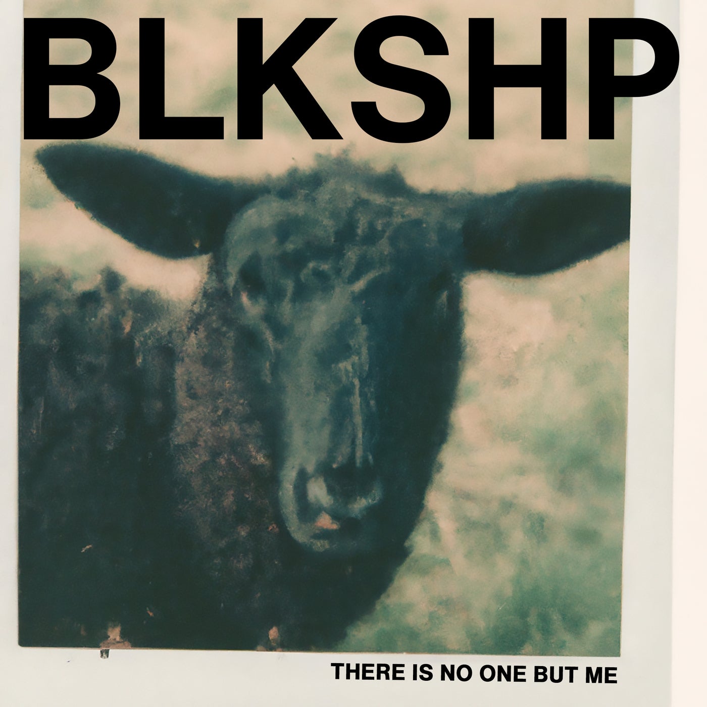 BLKSHP (Black Sheep)