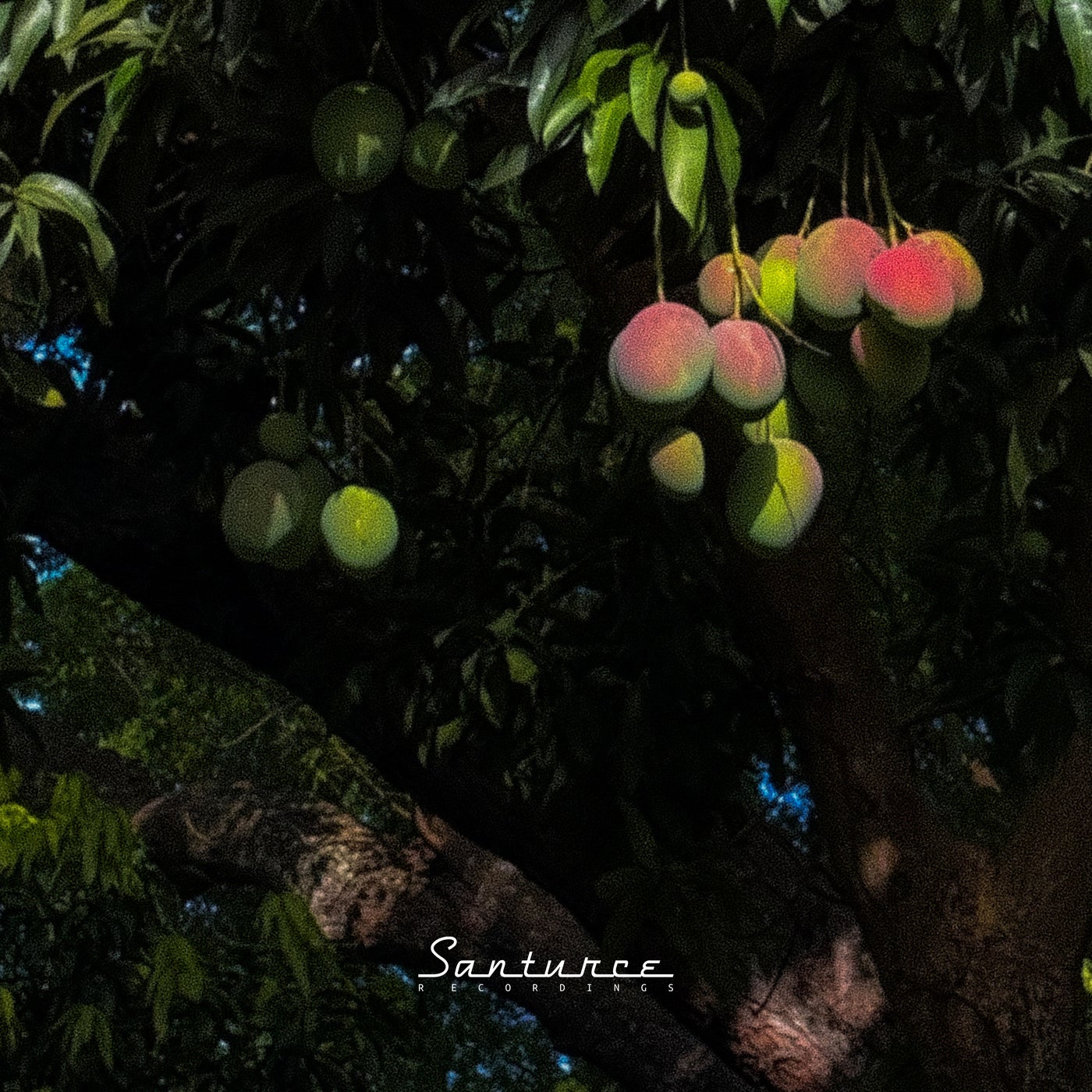 Cover art for Como Asi