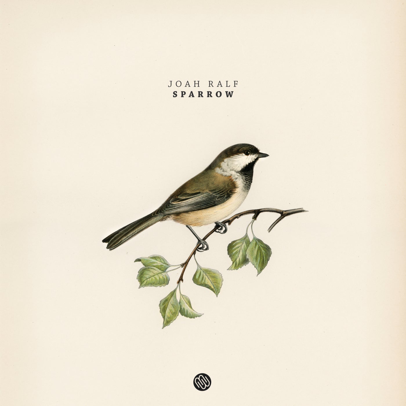 Sparrow