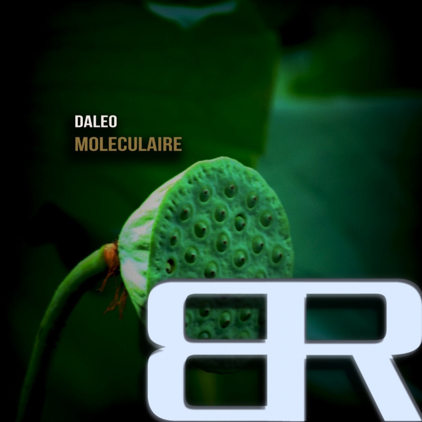 Moleculaire