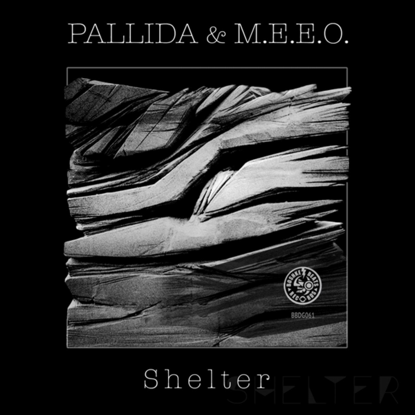 Pallida & M.E.E.O. "Shelter"