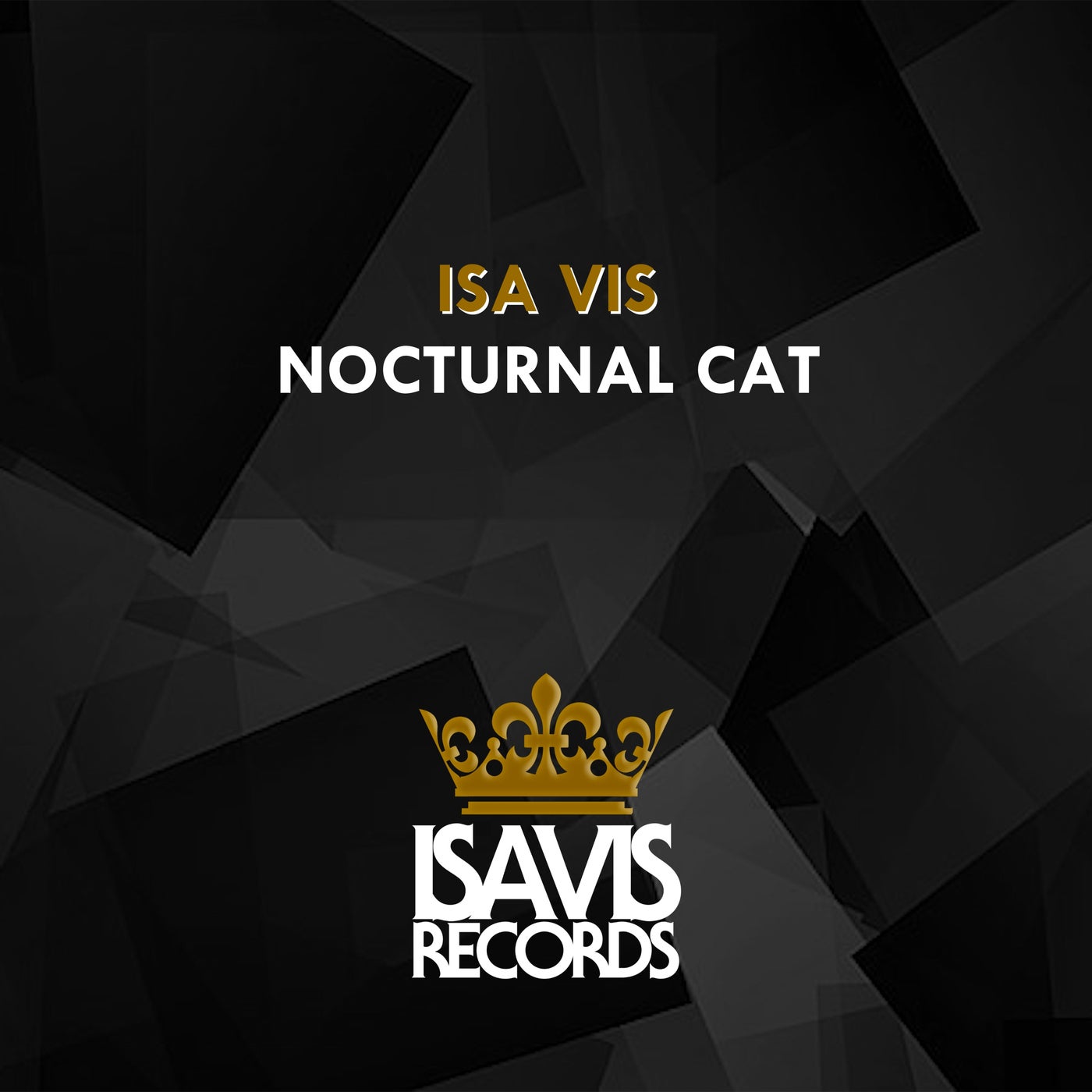 Nocturnal Cat