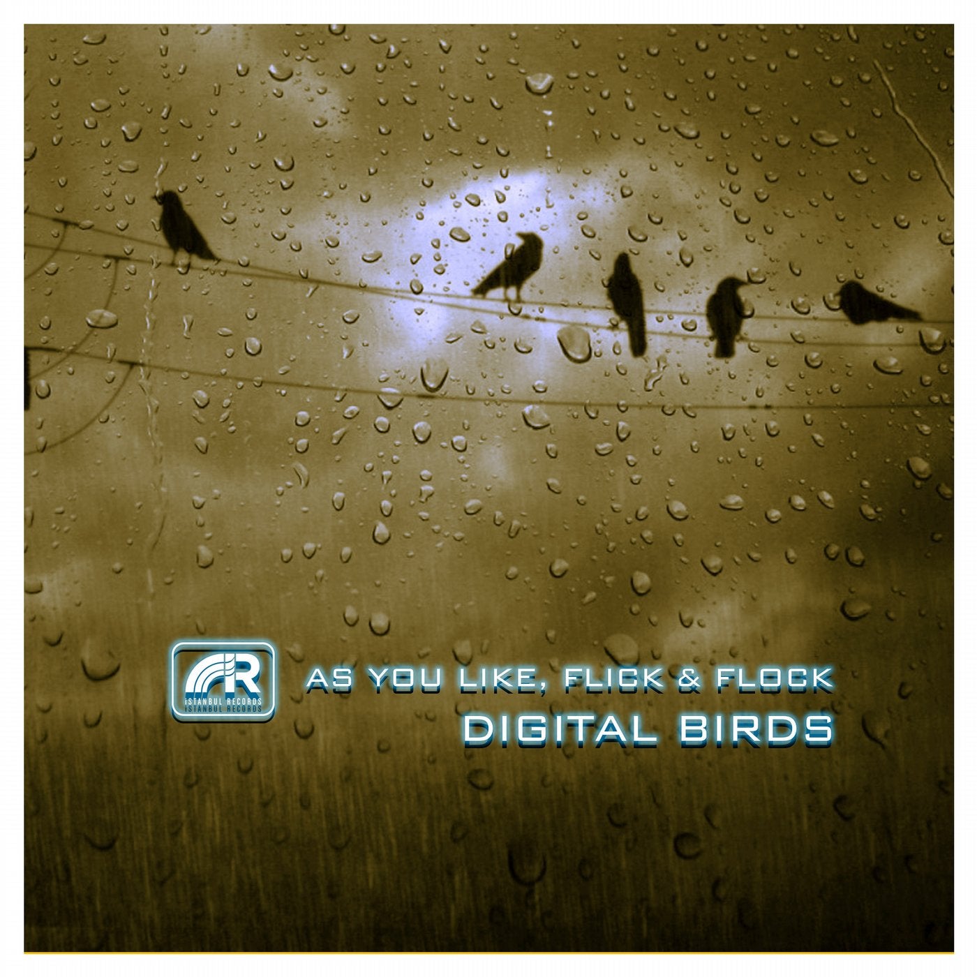 Digital Birds