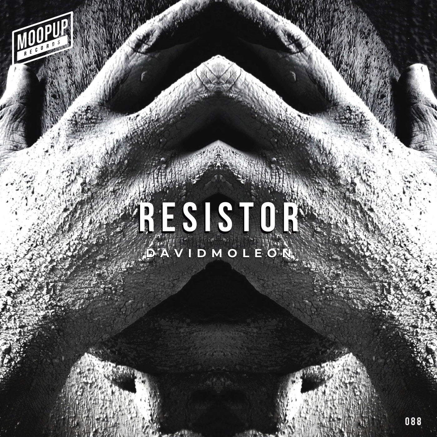 RESISTOR