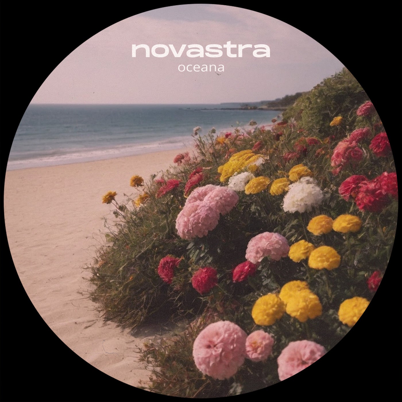 oceana