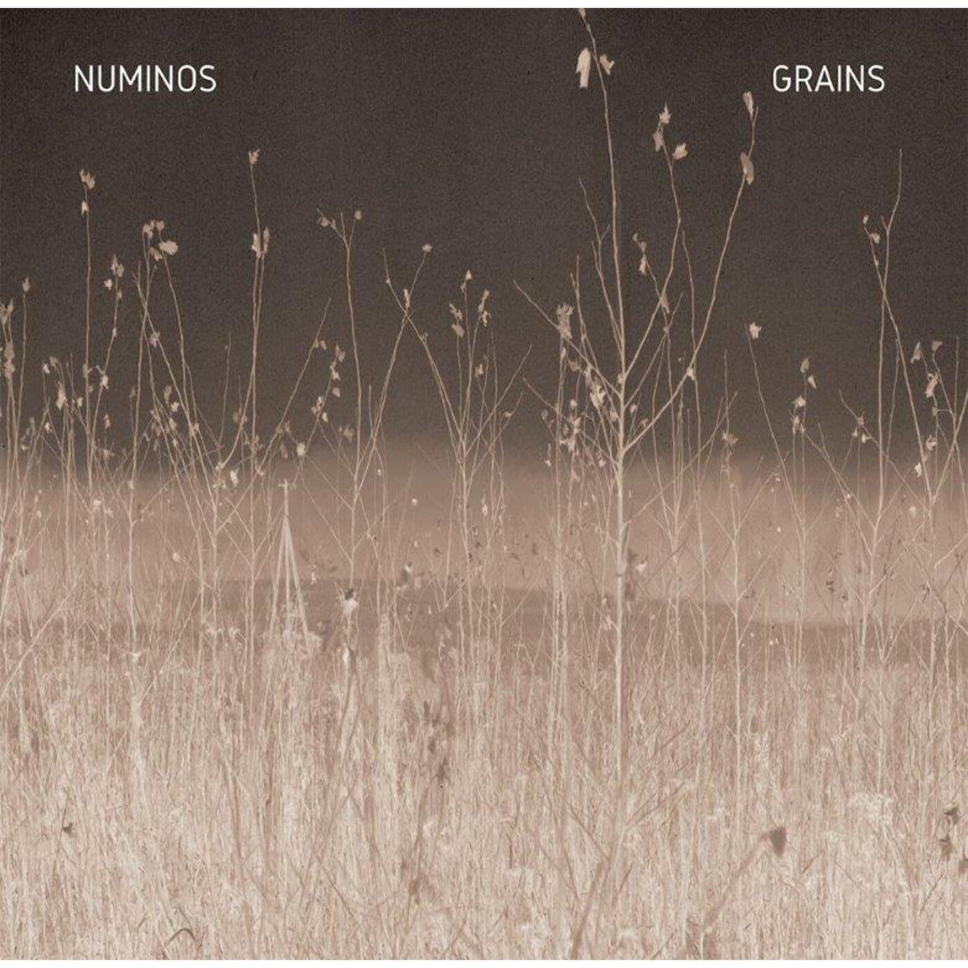 Grains