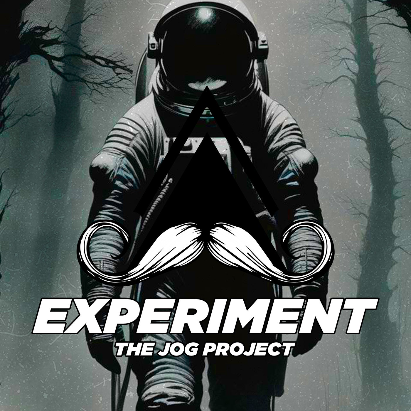 Experiment