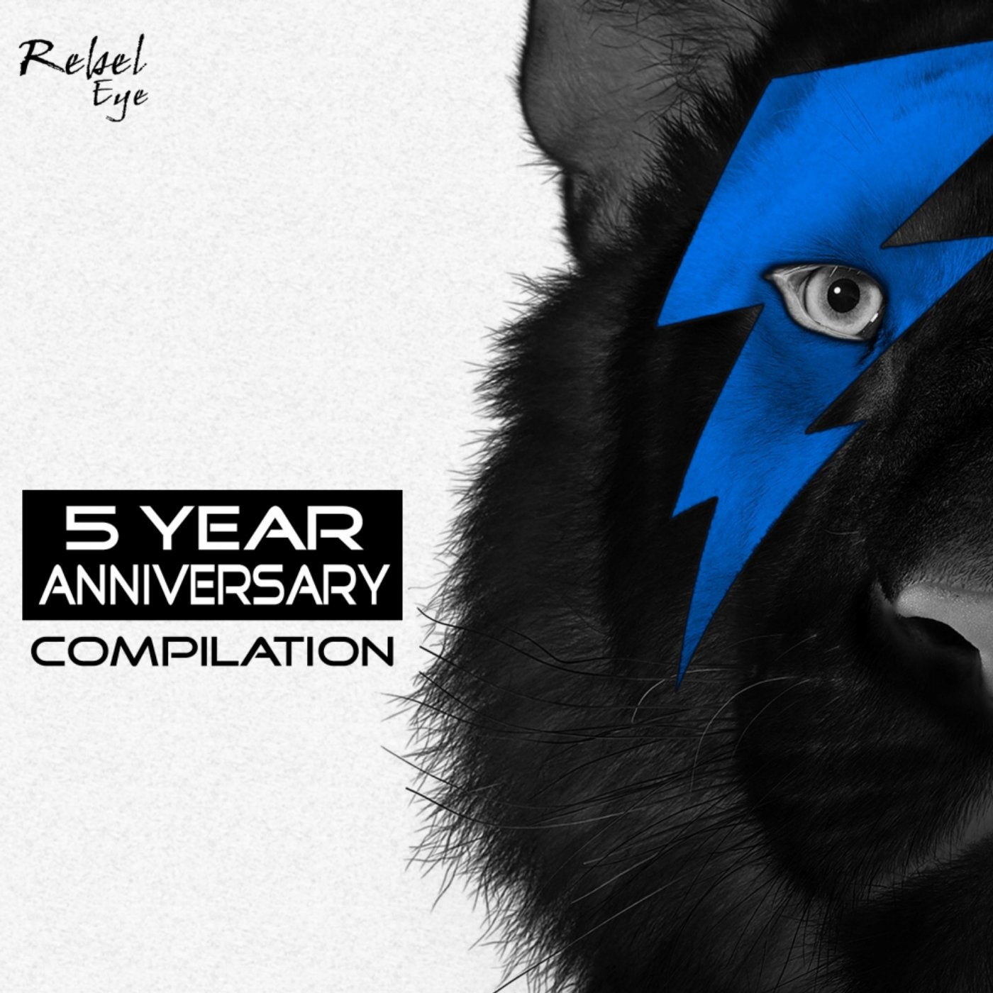 Rebel Eye 5 Year Anniversary Compilation