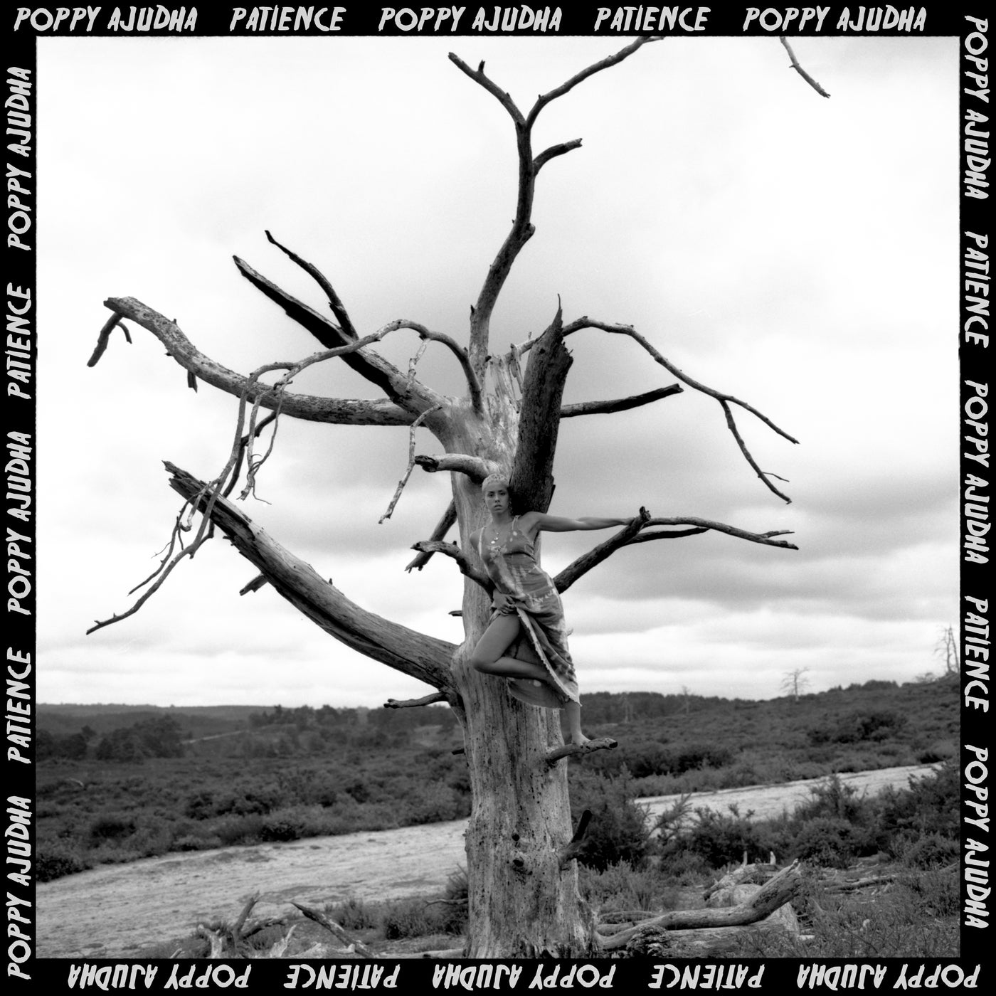 Cover art for Patience