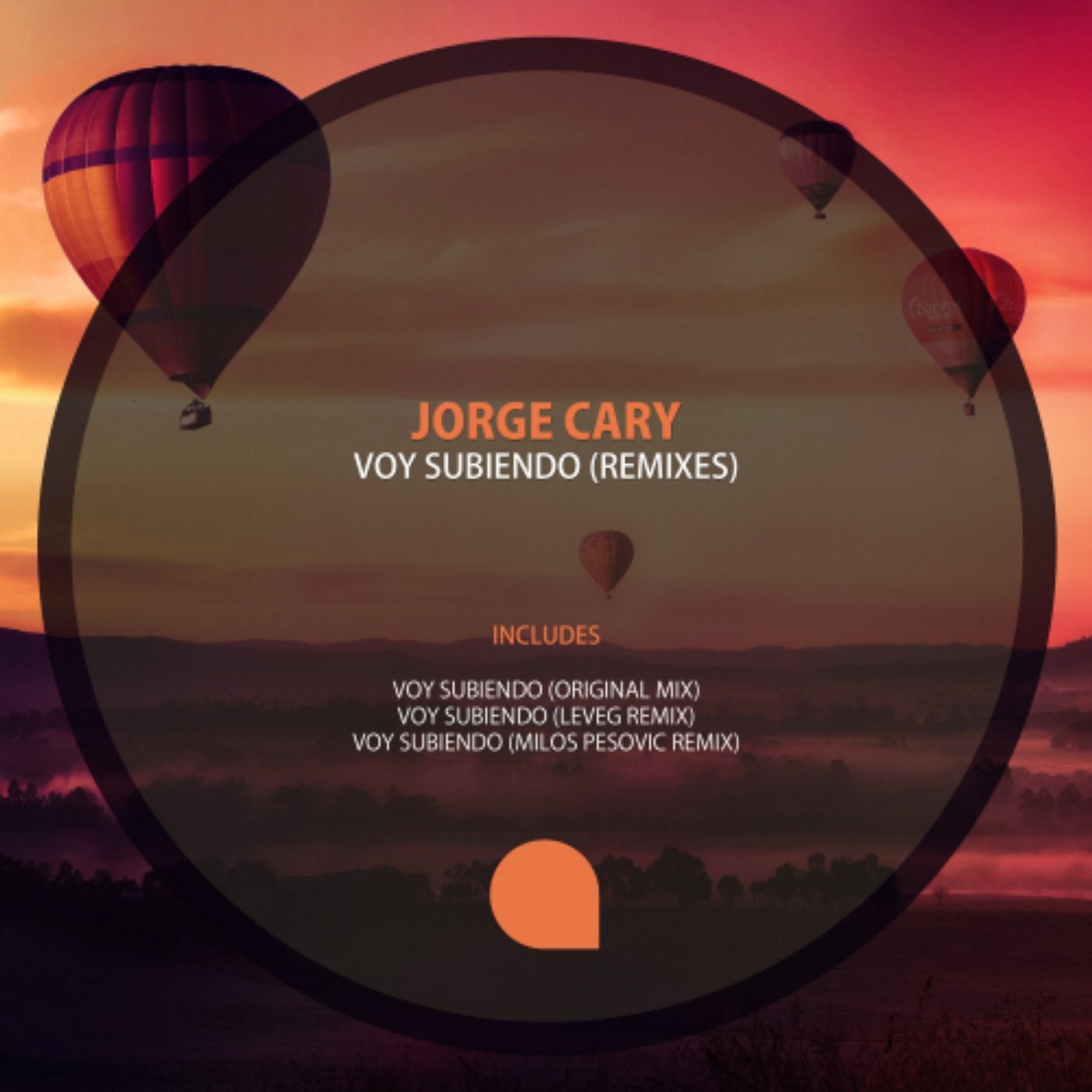 Voy Subiendo Remixes